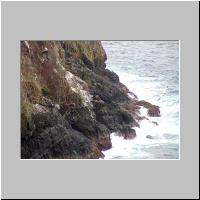 05- Paille en queue.html